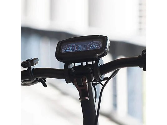 SmartGyro Ryder EVO, Potencia Nominal y Máxima 1000W, Carga máx. 120 kg, 18000 mAh, 25 km/h, Gris