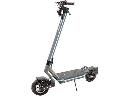 SMARTGYRO Raptor EVO LR, Pot. máx. 1000 W, Carga máx. 110 kg, 75 km autonomía, 20000 mAh, Azul